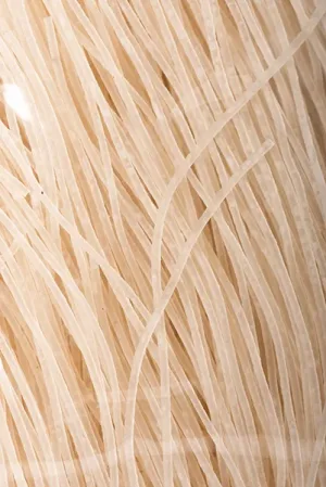Bifun Noodles
