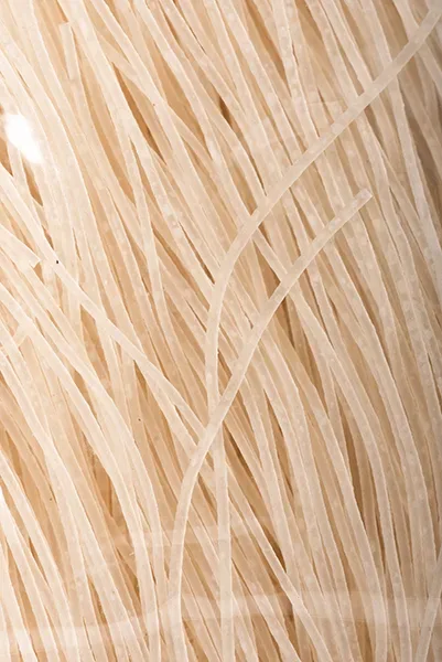 8950 Bifun Noodles