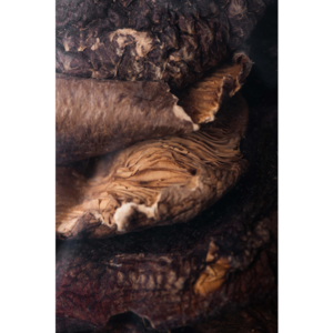 9019_3 Dried Shiitake Mushrooms