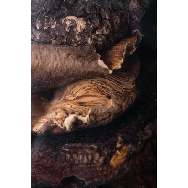 9019_3 Dried Shiitake Mushrooms